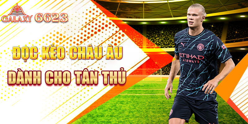 Đọc kèo châu Âu dành cho tân thủ