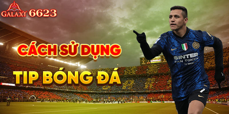 Sử dụng và hiểu tip bóng đá mang lại lợi ích gì?