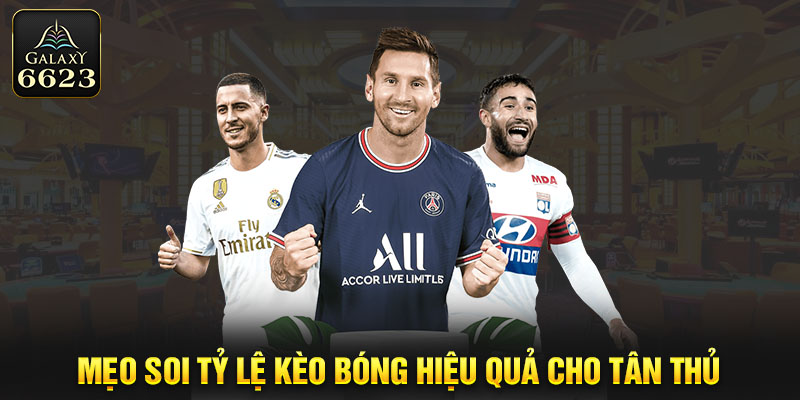 Mẹo soi tỷ lệ kèo bóng hiệu quả cho tân thủ